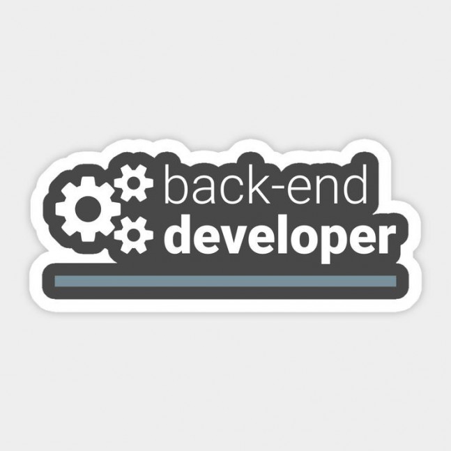 Back-end developer