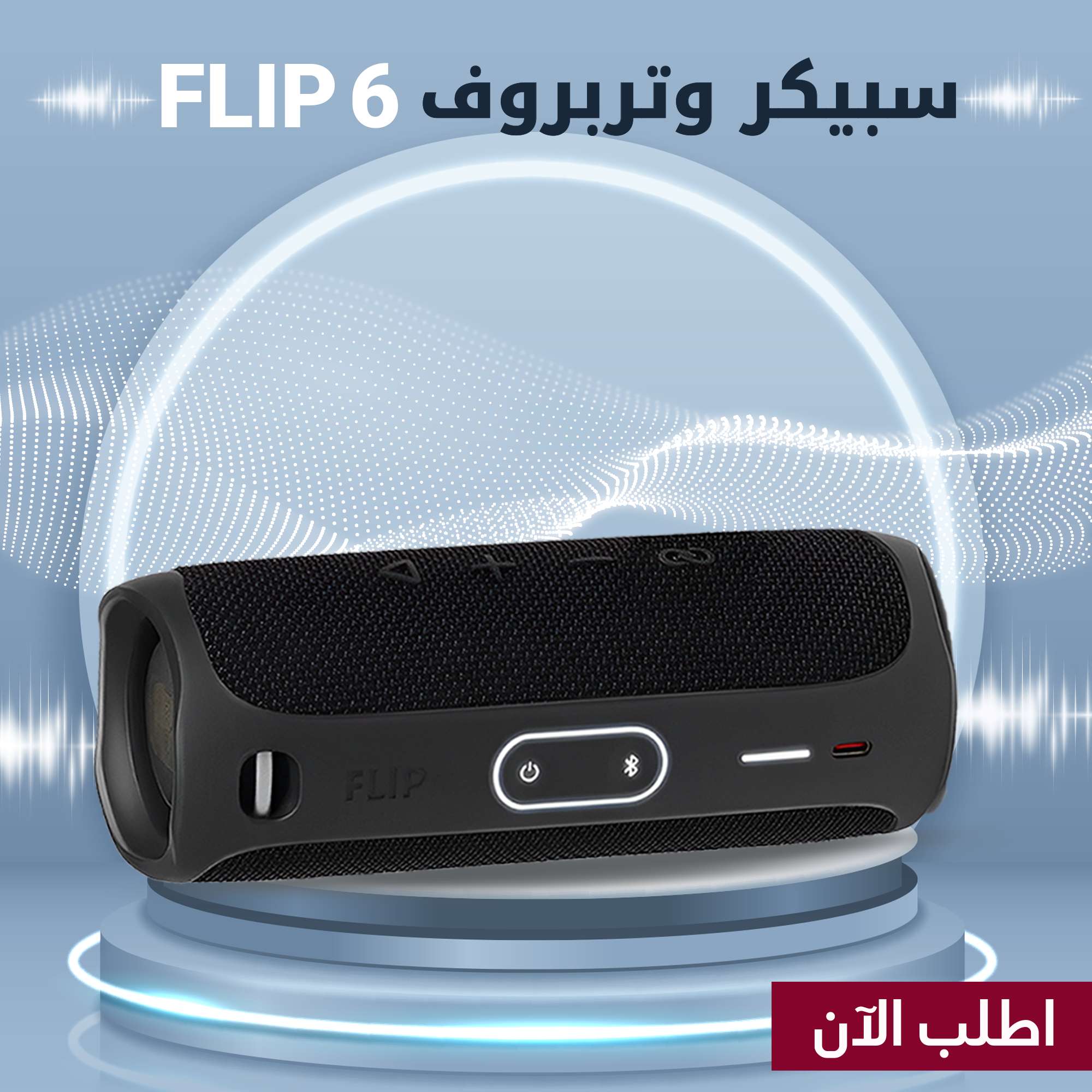 SPEAKER FLIP6