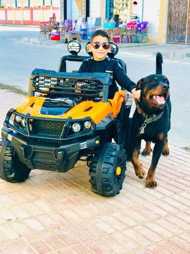 العربيه الجيب المدرعه الكبيييييرة
سيارة دريكسيون شمال مصممه لطفلين