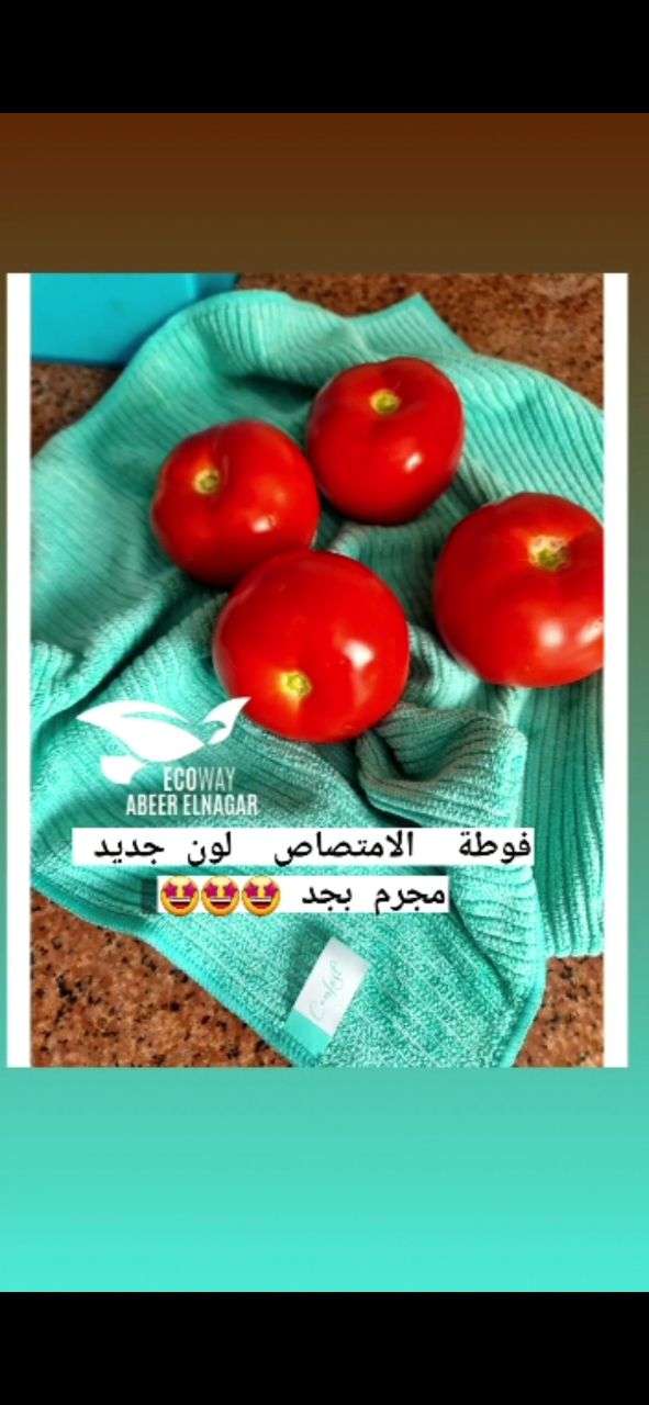 فوطة الإمتصاص