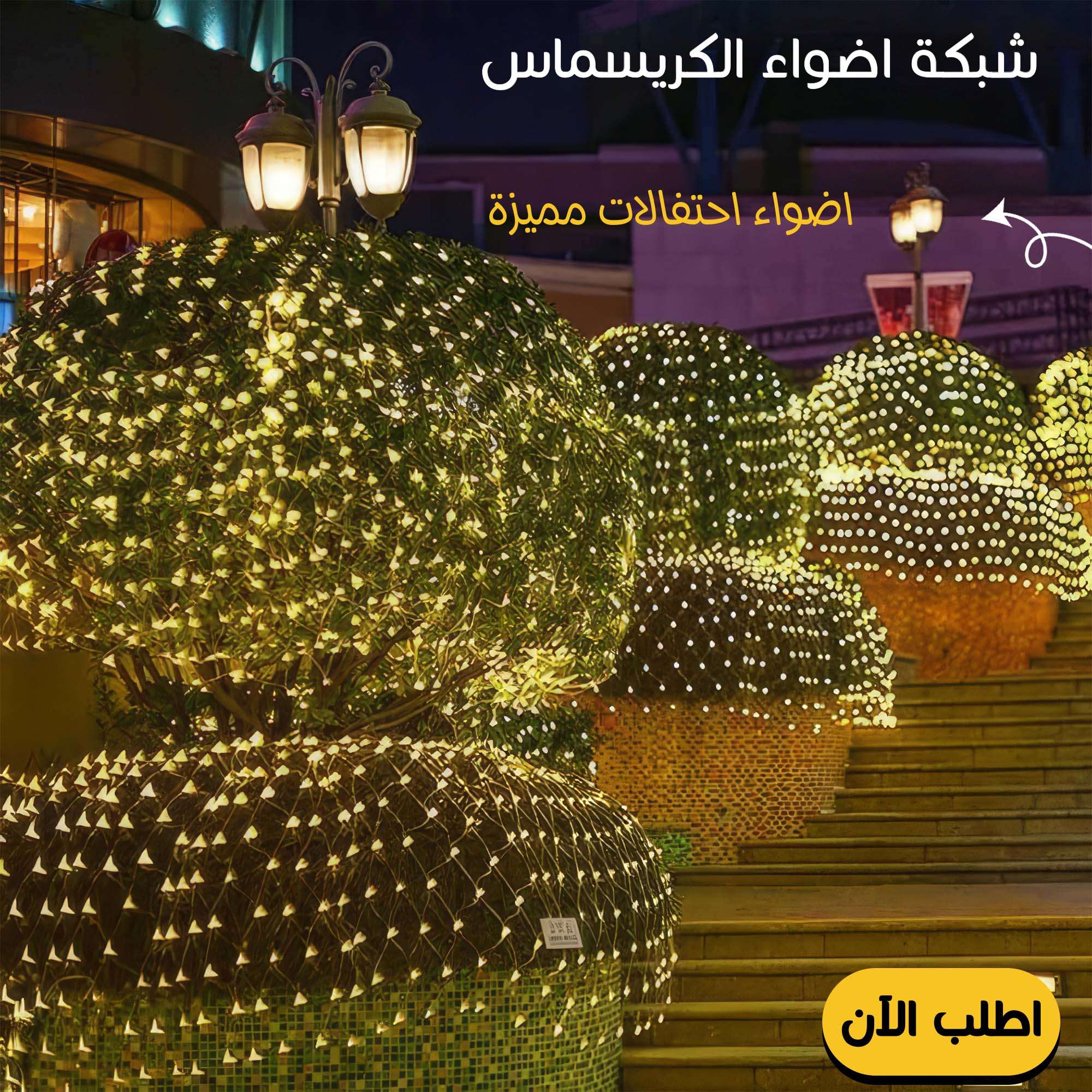 شبكة اضواء الكريسماس Warm