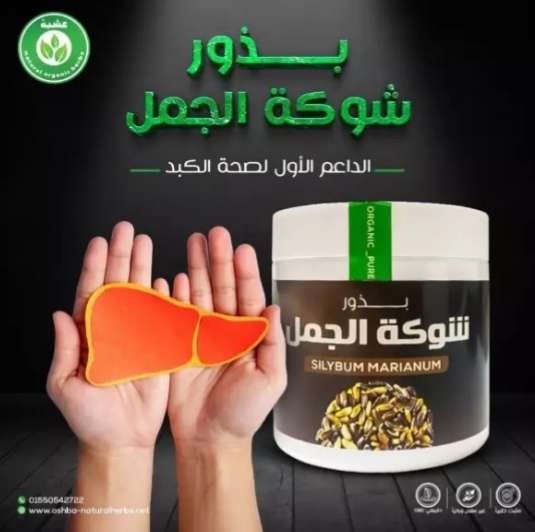 حليب شوك الجمل