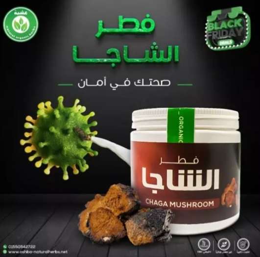 فطر الشاجا