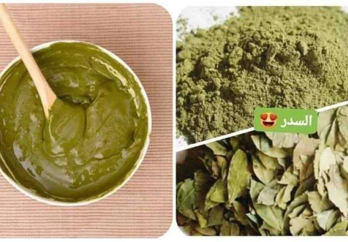 عشبه السدر اليمني للشعر