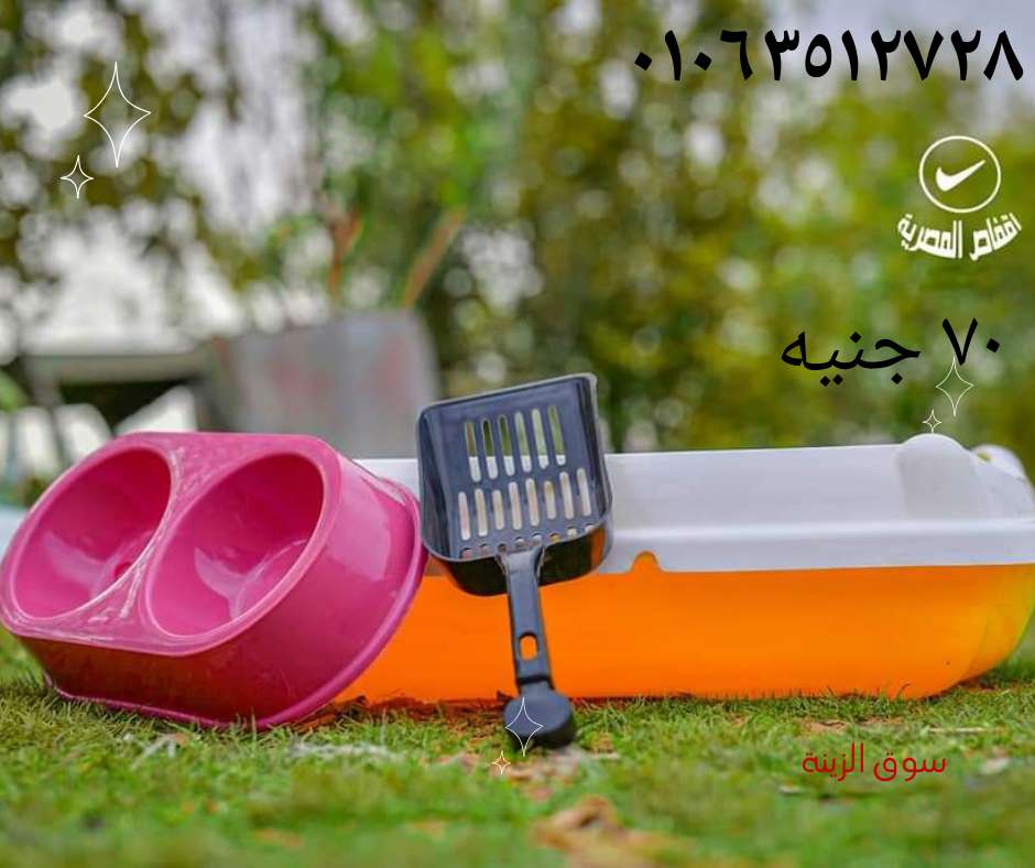 طقم للقطط