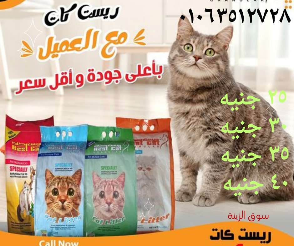 رمل قطط
