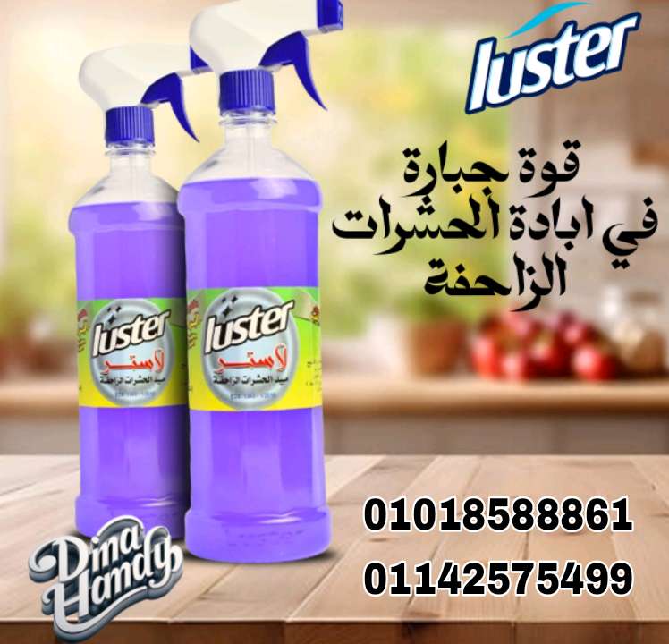 رش البراغيت والفاش والحشرات الغير مرئيه من لاستر