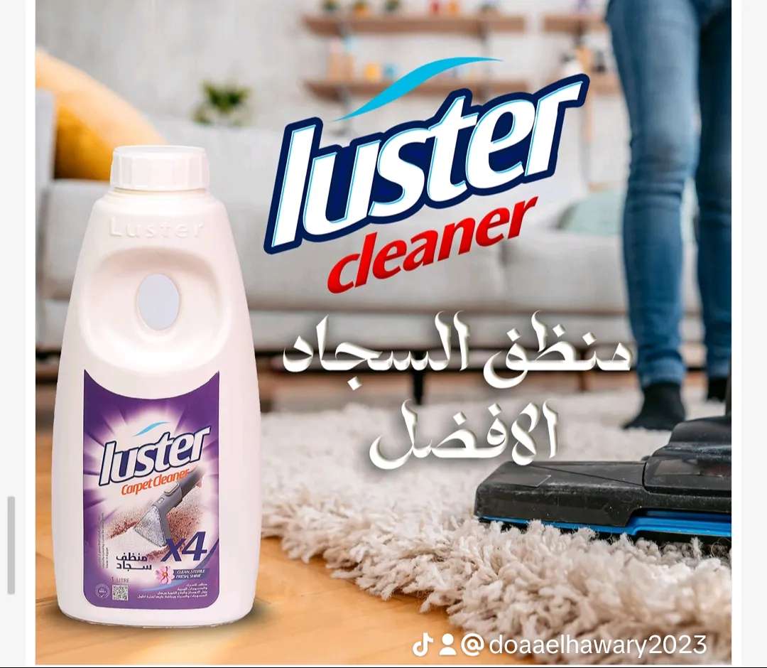 شامبو المفروشات