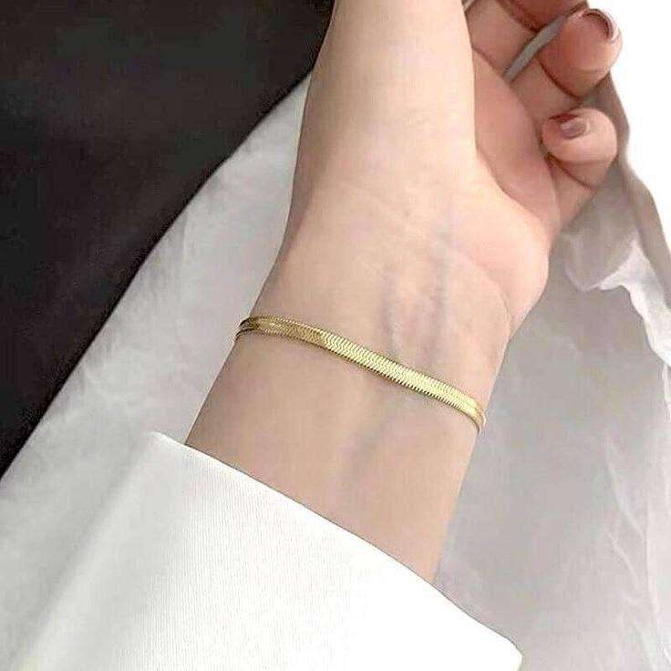 انسيال استانلس ضهر الحيه