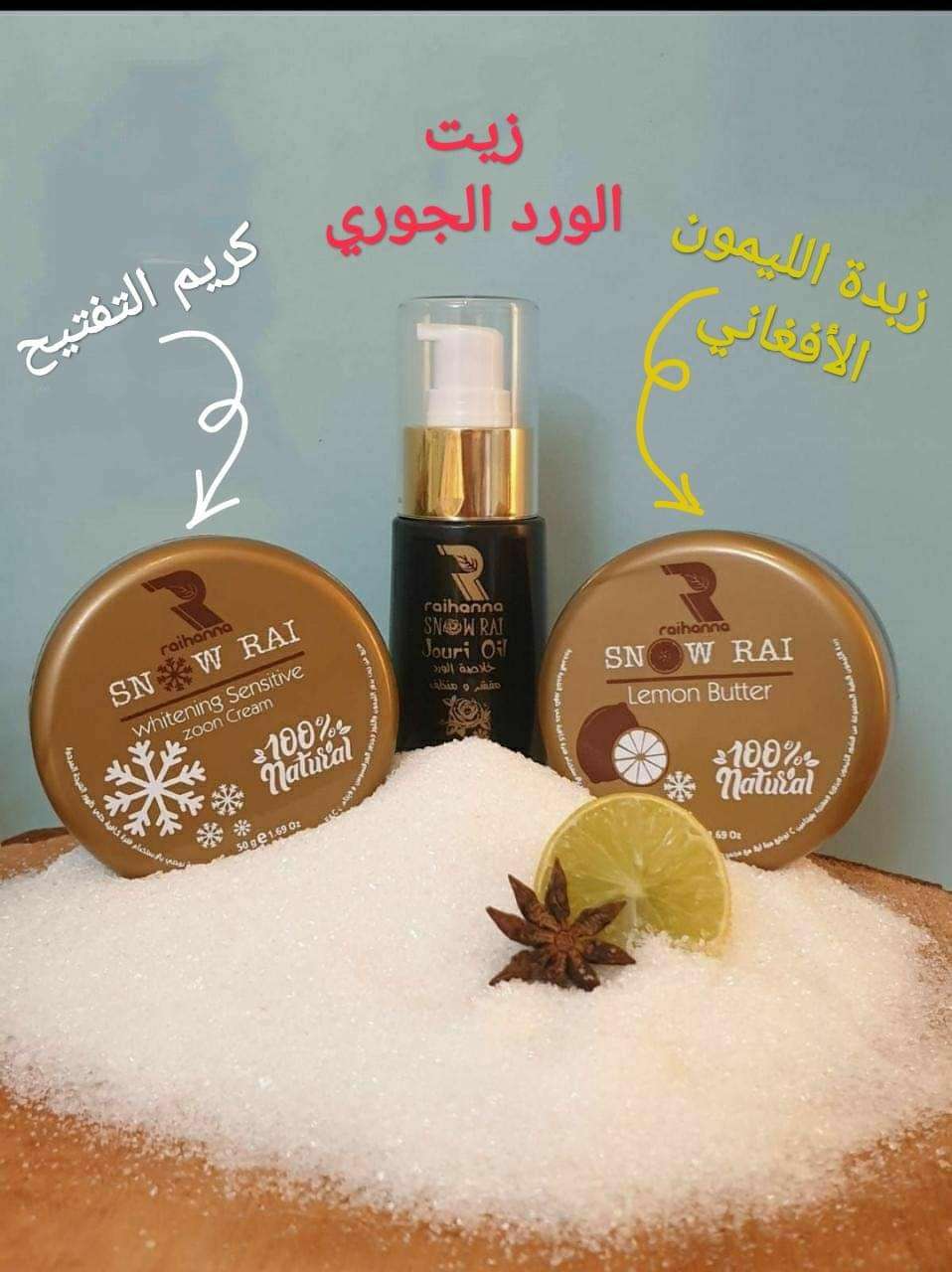 كورس سنو راي