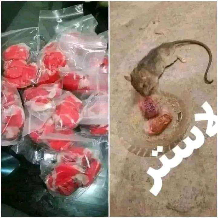 عجينه الفئران