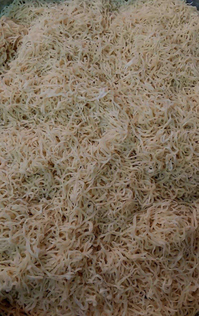 مخروطة