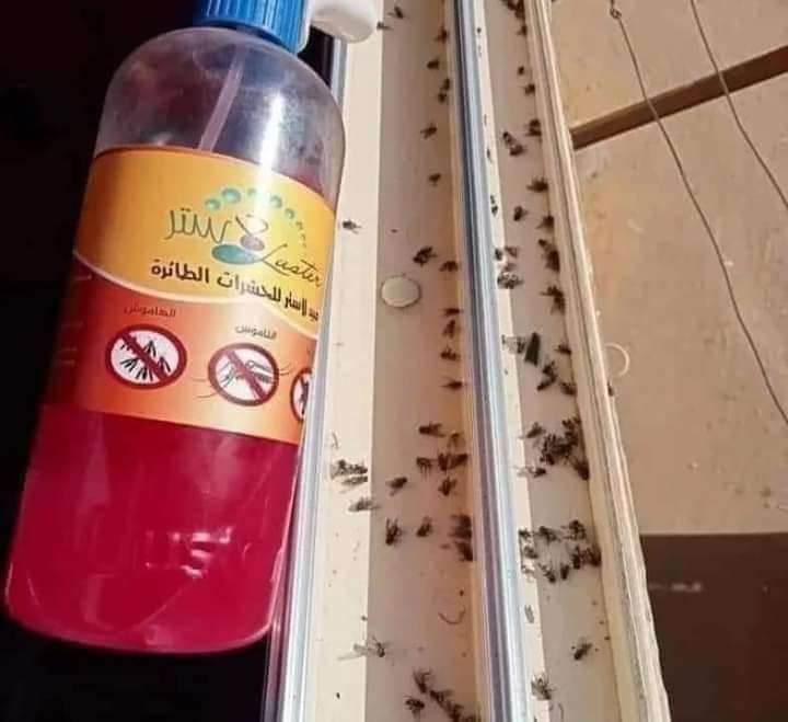 مبيد الذباب والهاموش