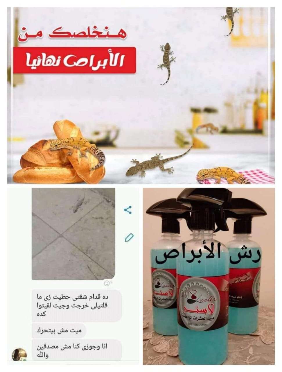 رش طارد الابراص من لاستر