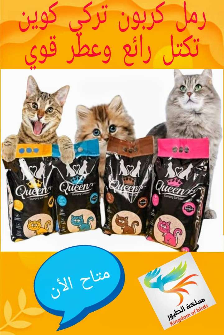 رمل كربون تركي كوين