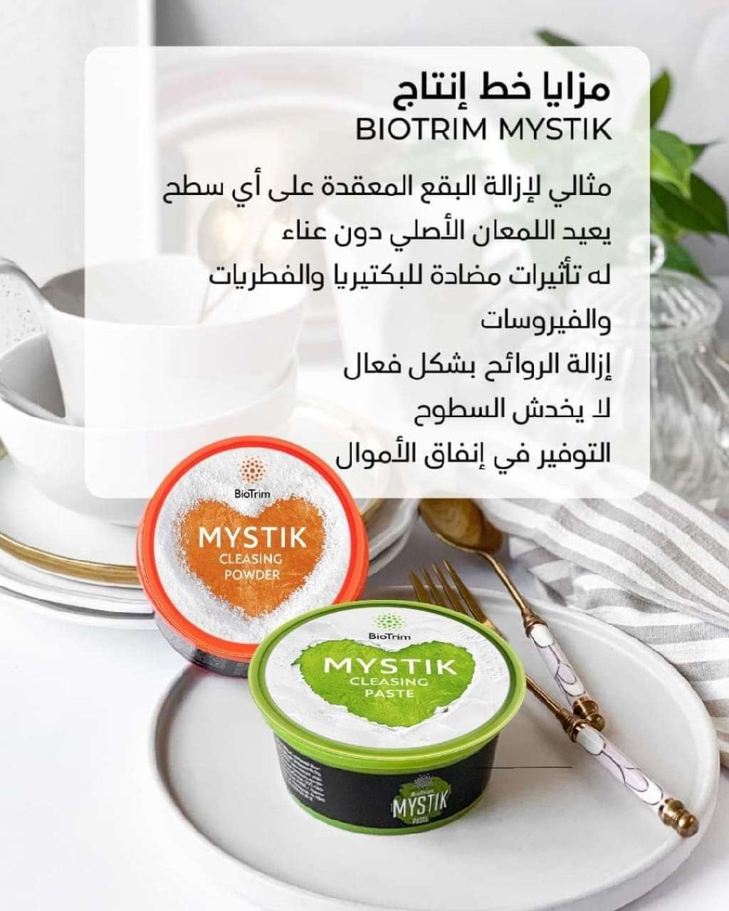 ميستك بودر ومعجون