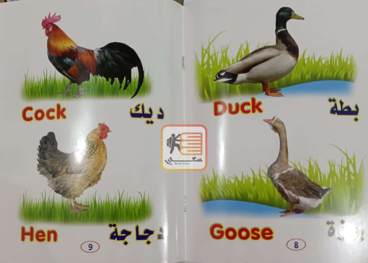 مجموعة المعرفة (حيوانات المزرعة)