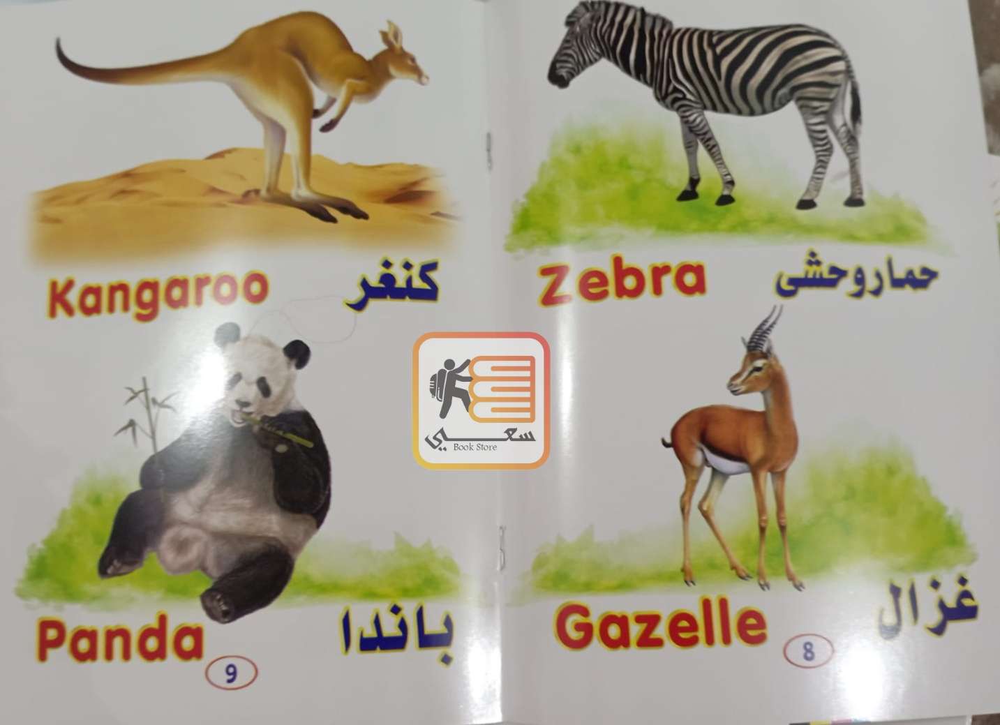 مجموعة المعرفة (حيوانات الغابة)