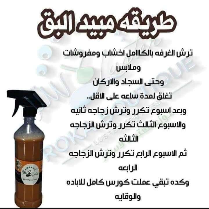 رش البق