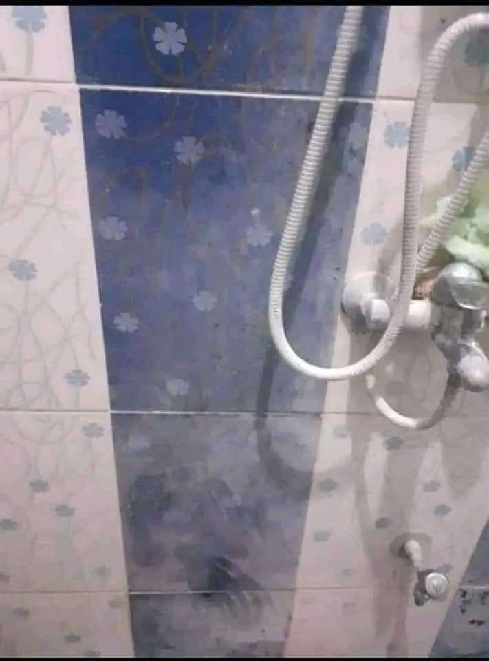 منظف الحمامات من لاستر