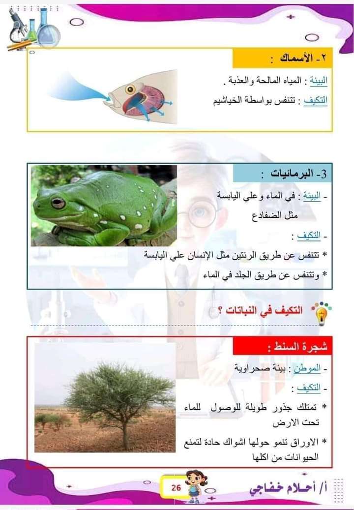 يونس فى المعمل