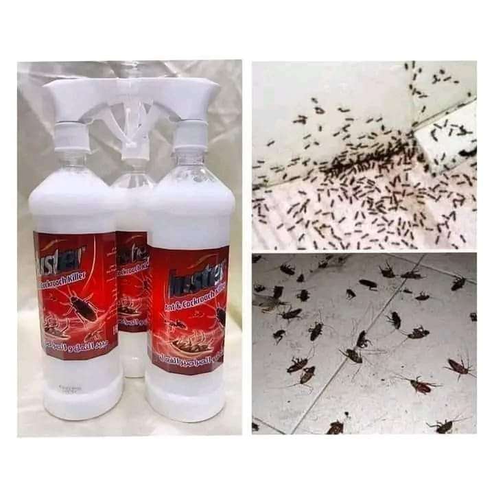 مبيد لاستر النمل والصراصير