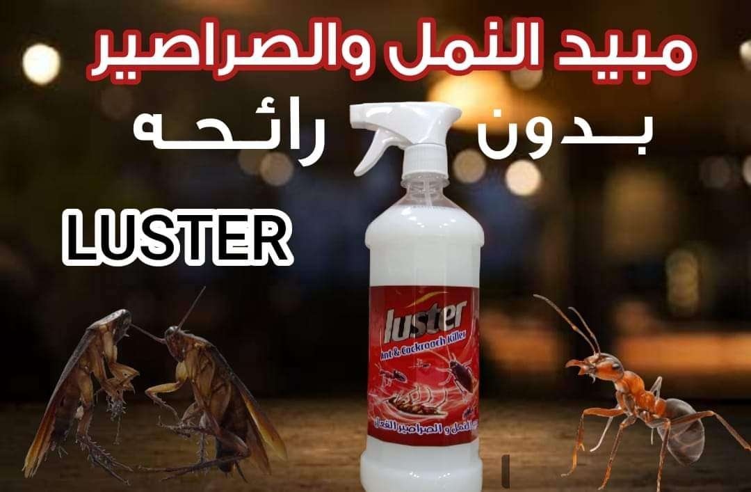 مبيد لاستر النمل والصراصير
