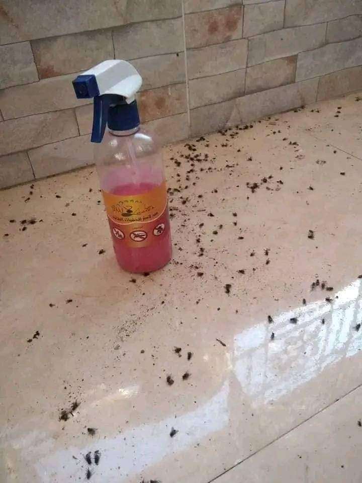رش الذباب