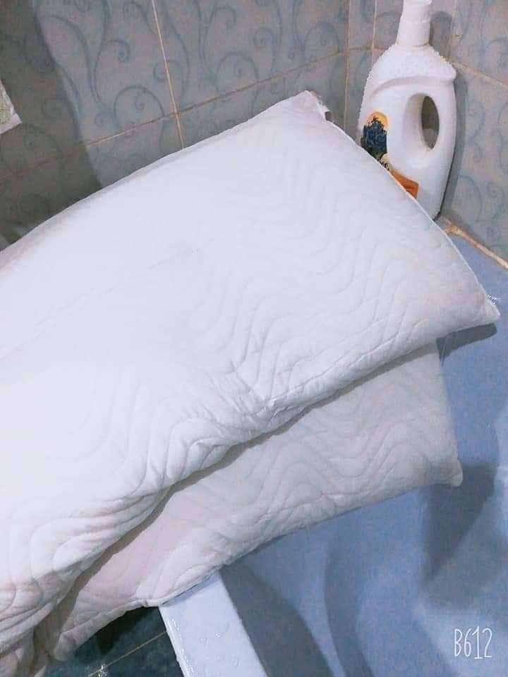 مبيض ١لملابس