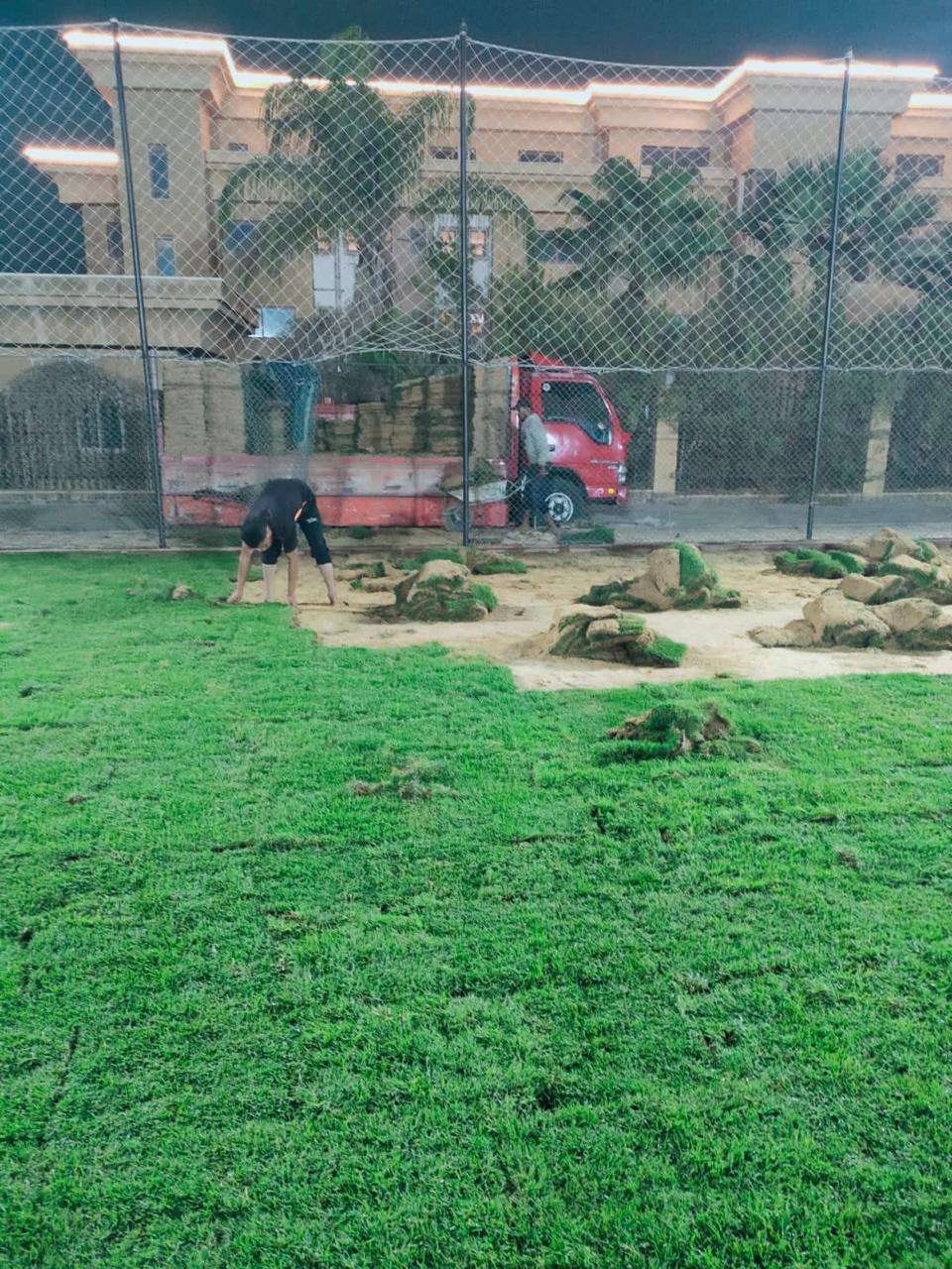 نجيل طبيعي