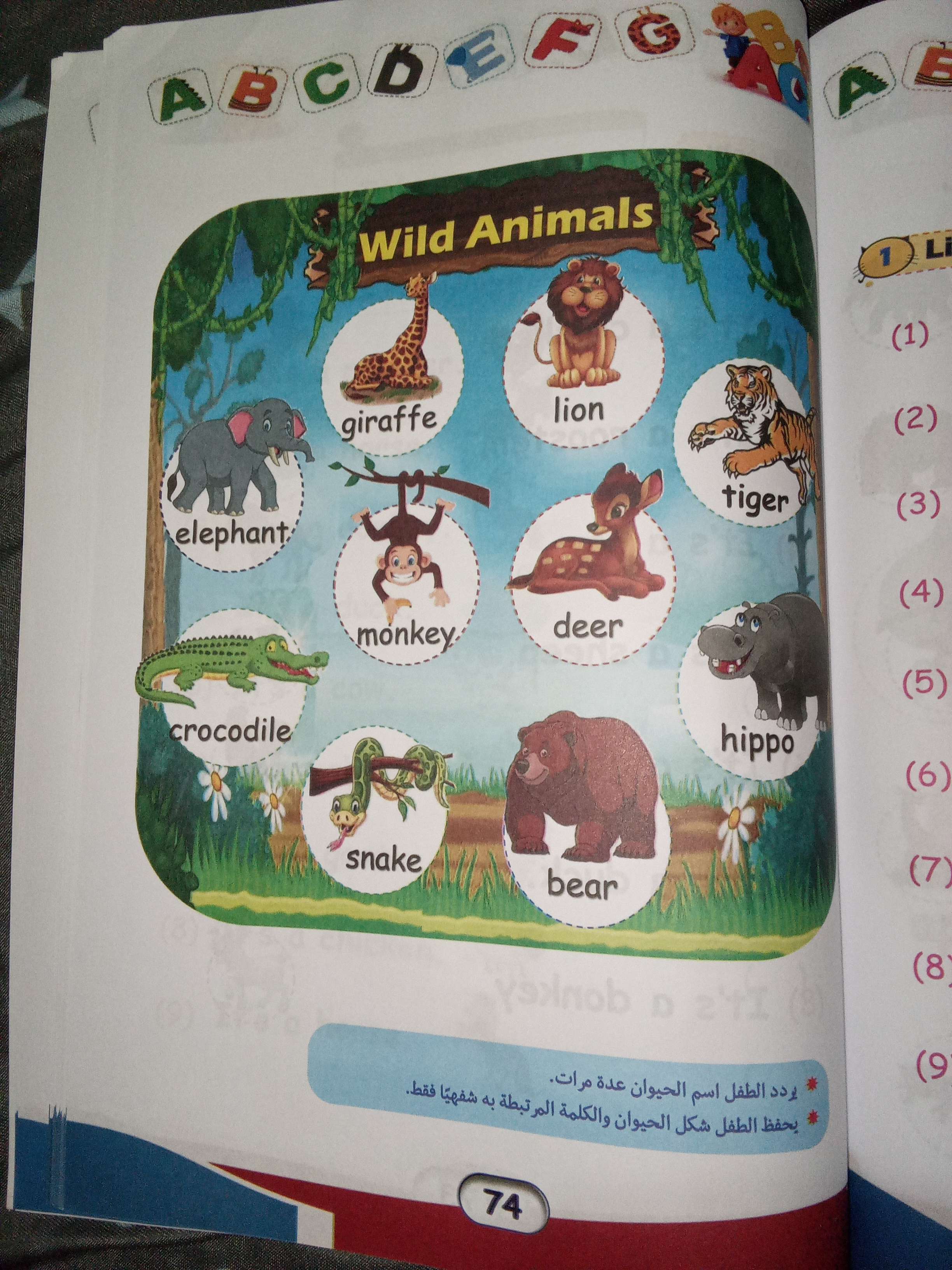 ذا بيست ستارت حروف وكلمات