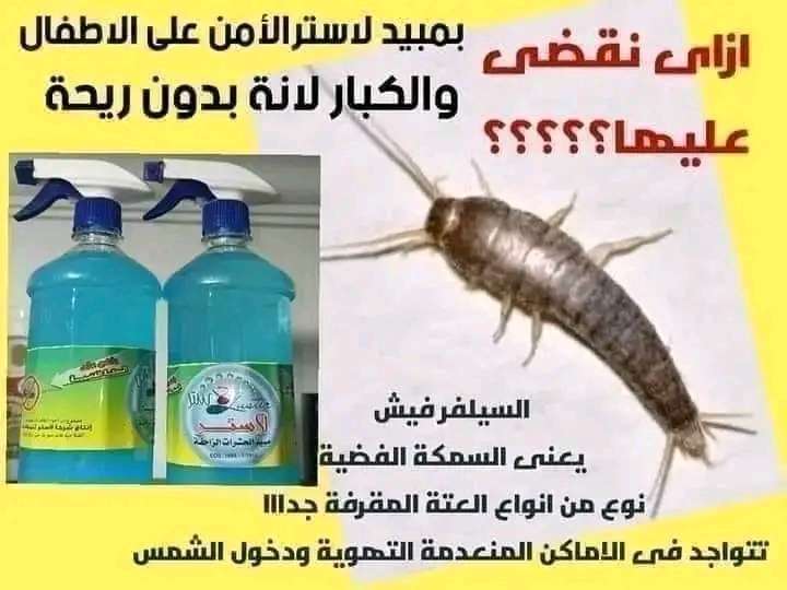 مبيد الحشرات الزاحفه لحشرة سيلفر فيش