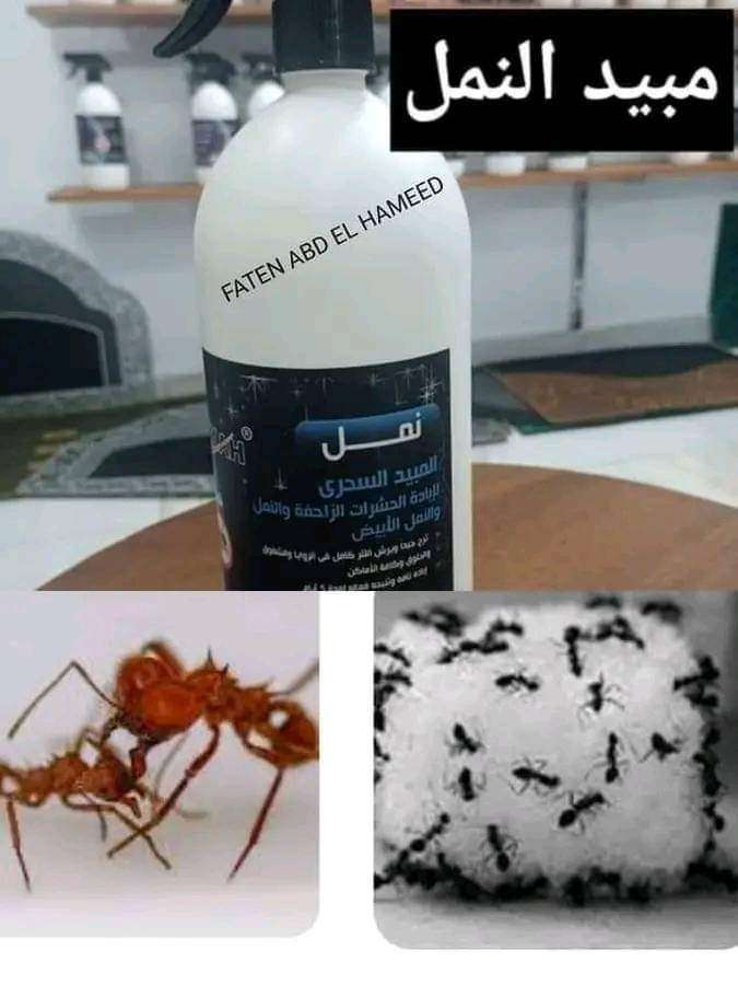 مبيد النمل