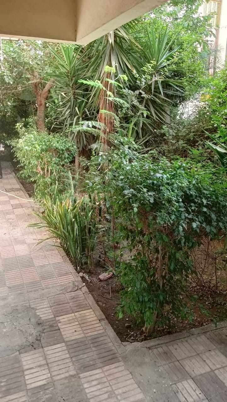شقة لقطةللبيع ف  نزهة العبور 
شركة مصر الجديدة  الحي الثامن