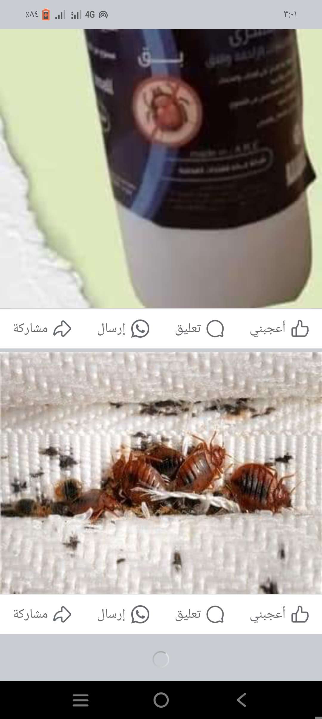 مبيد حشره البق (او الاكلان)