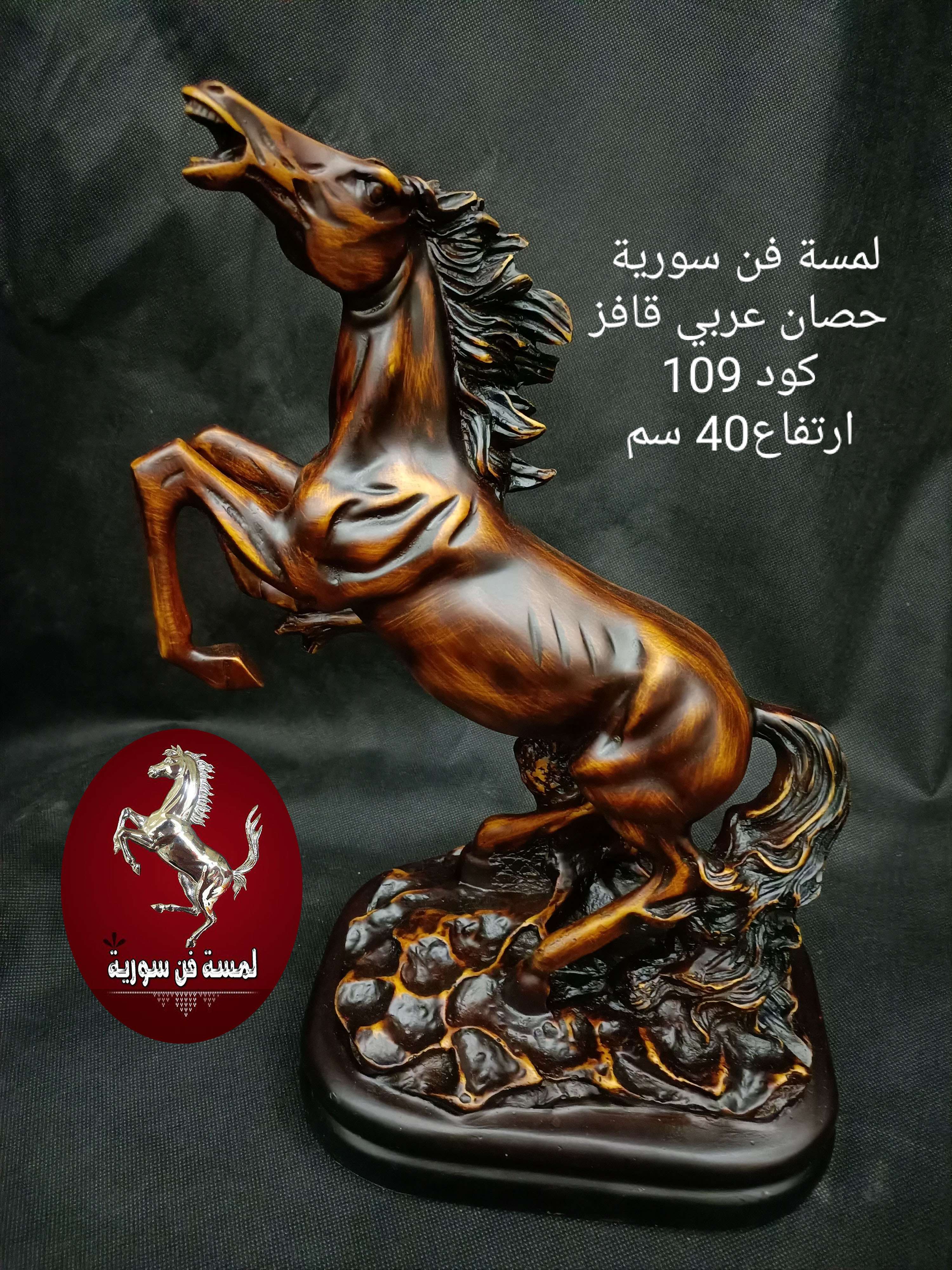 حصان عربي قافز