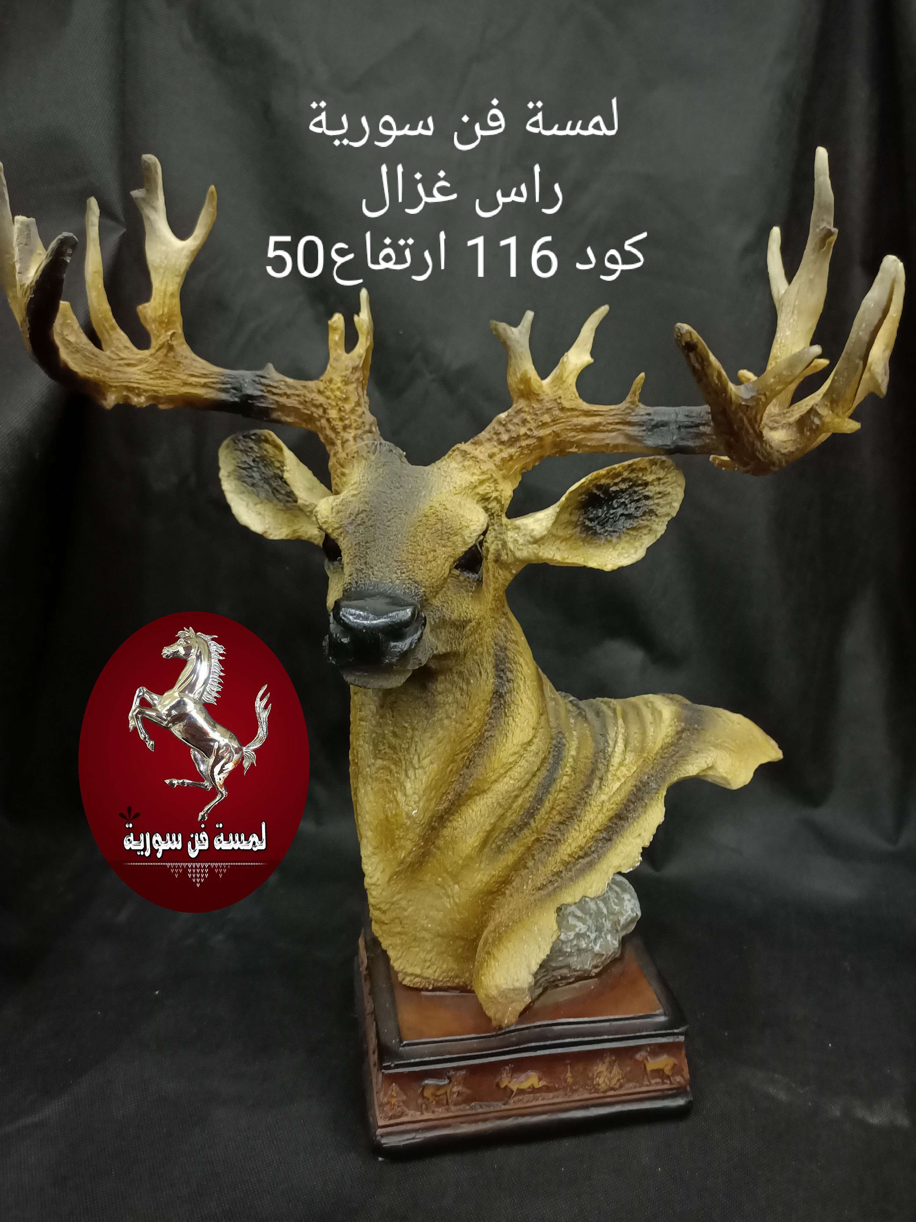 راس غزال