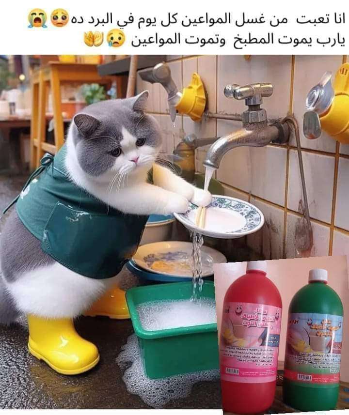 سائل الاطباق ليمون وتوت لتر