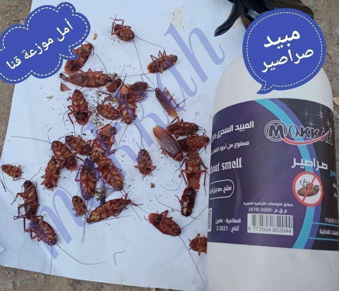 مبيد الصراصير عبوه لتر