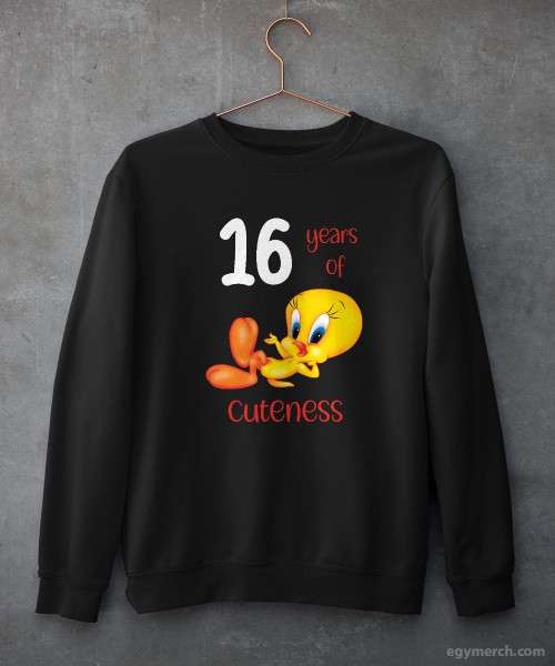 سويتشيرت tweety cartoon design
