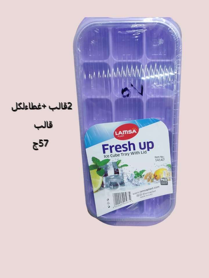 قالب ثلج 2*1