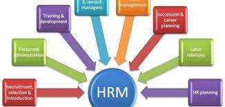 كورس human resources