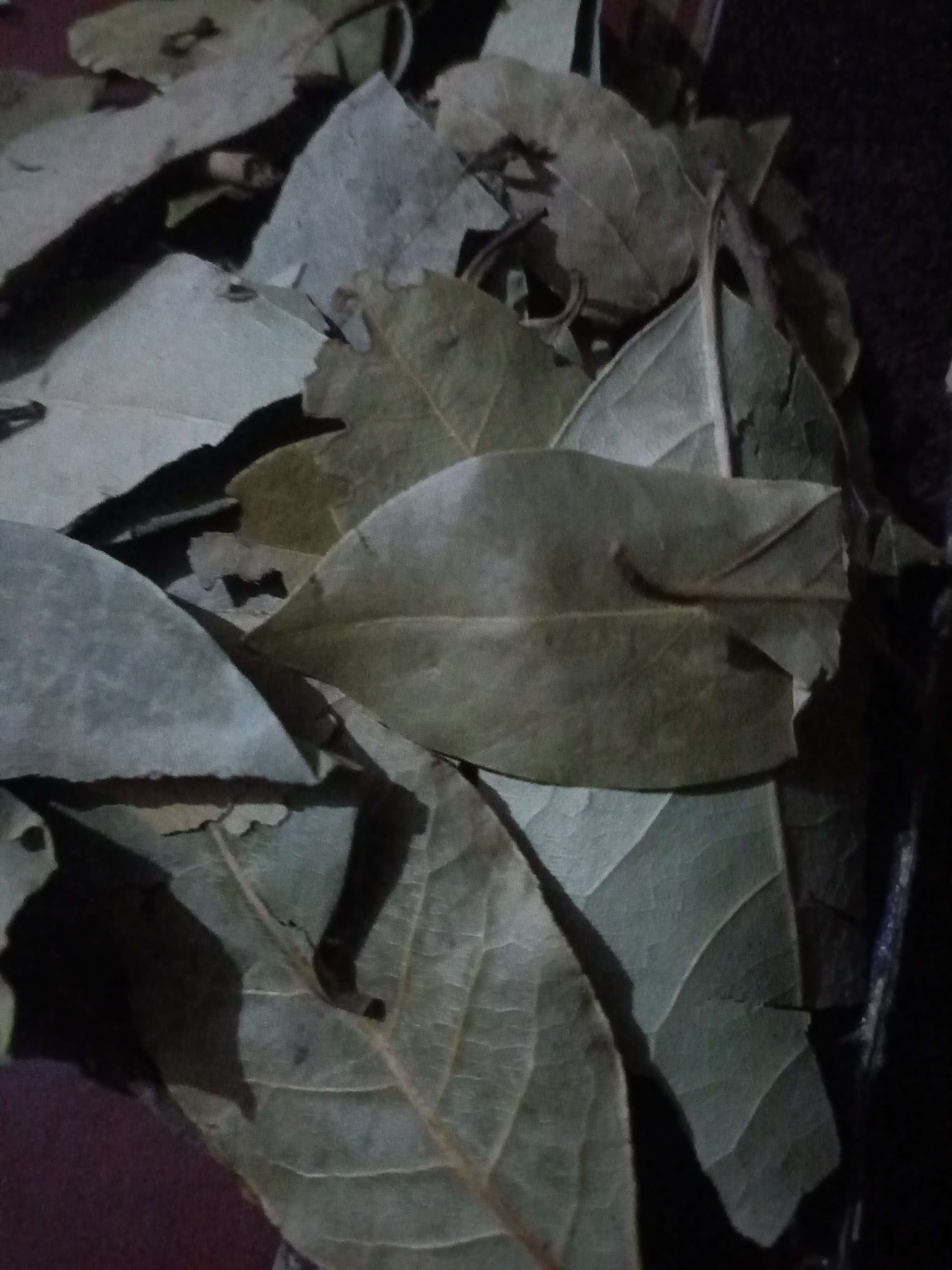 ورق لورى
