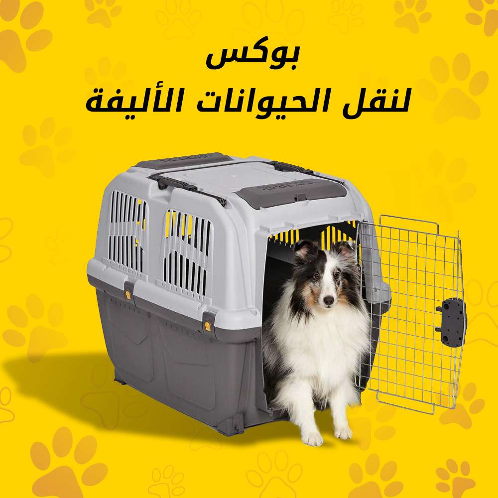 بوكس لنقل الحيوانات الأليفة