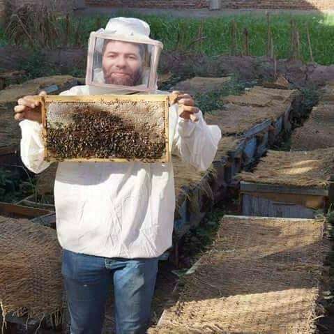غذاء ملكات