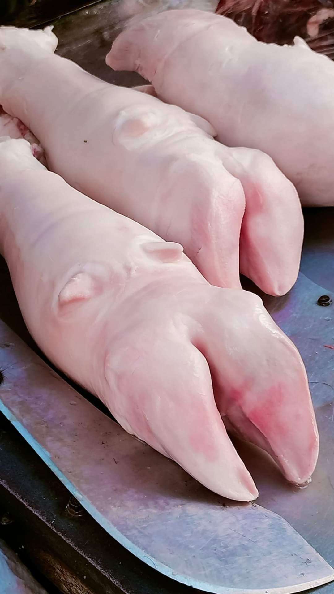 كوارع