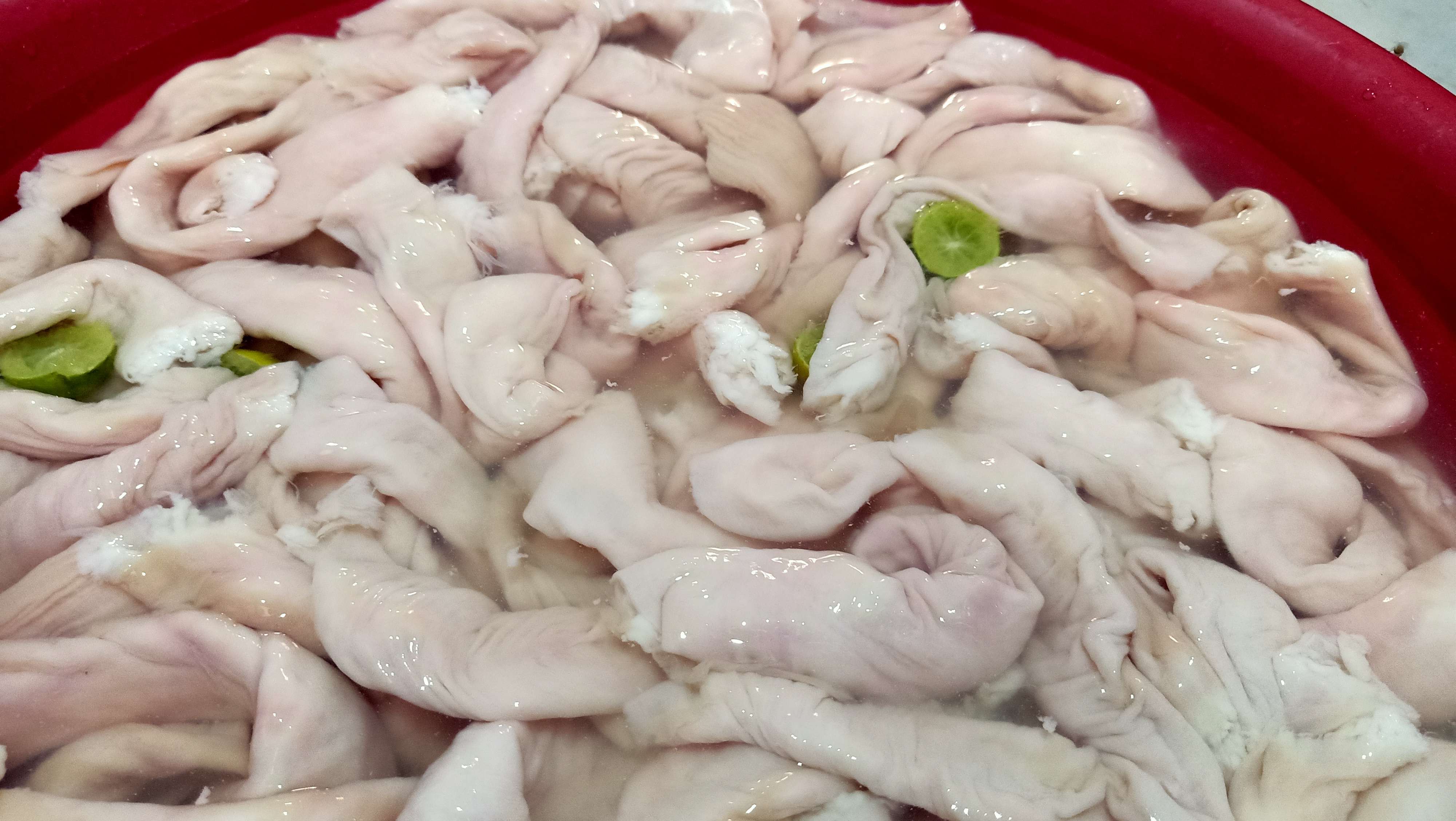 ممبار