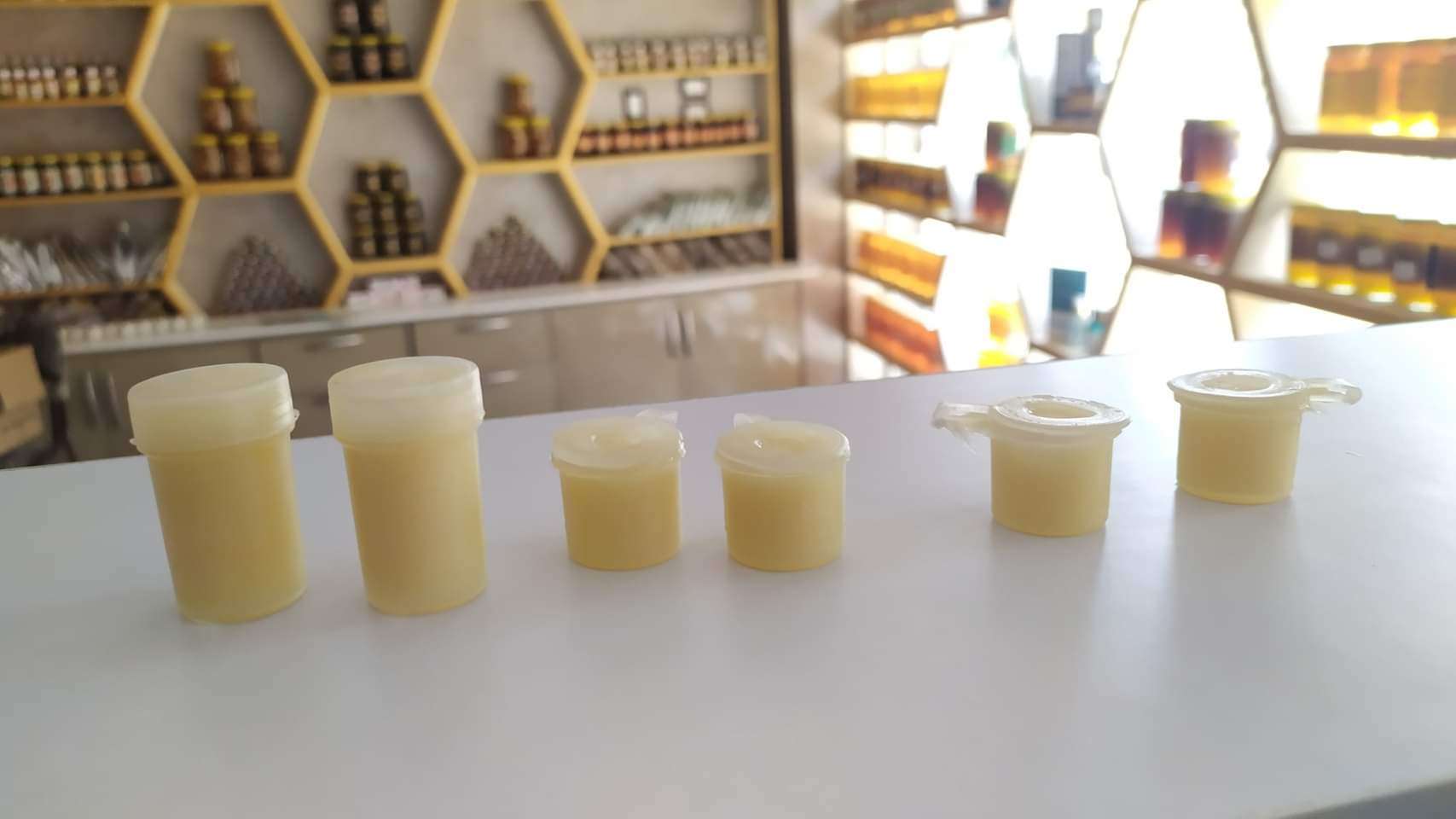 غذاء ملكات النحل البلدي