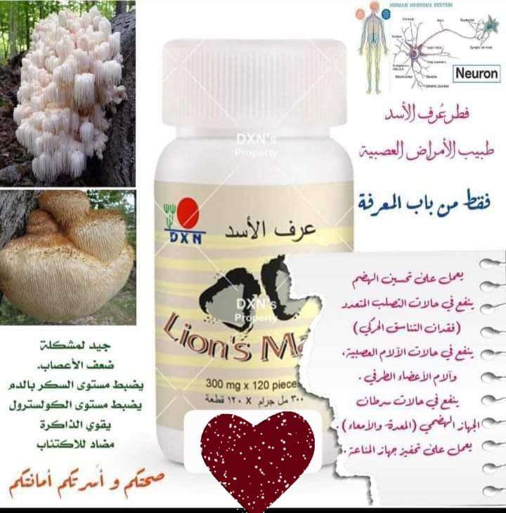 فطر عرف الاسد
