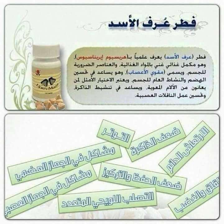 فطر عرف الاسد